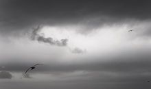 描写阴天的优美句子