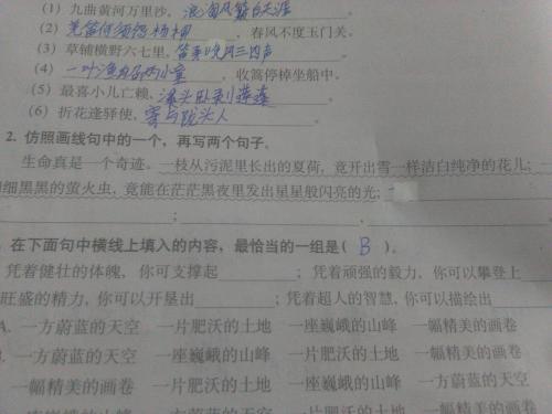 偶然的