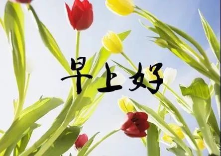 七月的问候