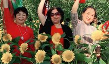 希望友谊长存的语句