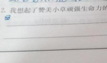 描写小草顽强的诗句