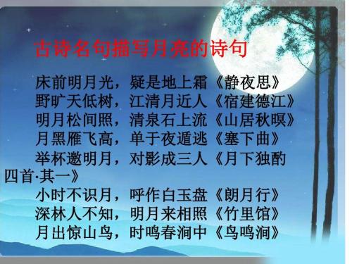 风景诗