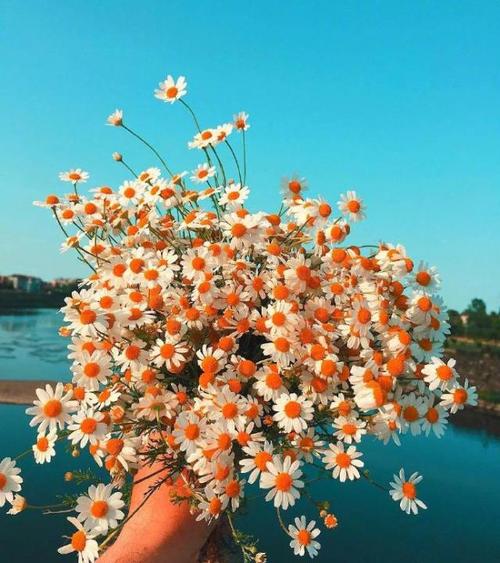 给老师的祝福