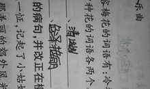 描写雨大的成语大全