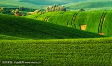 关于农业丰收的谚语