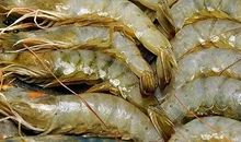 首先然后最后造句大全