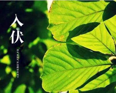 谚语
