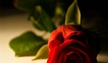 发朋友圈的美句子