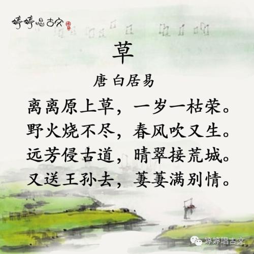 诗与草