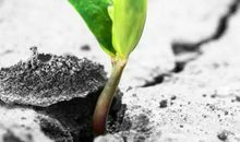 事到万难须放胆，人处逆境须从容