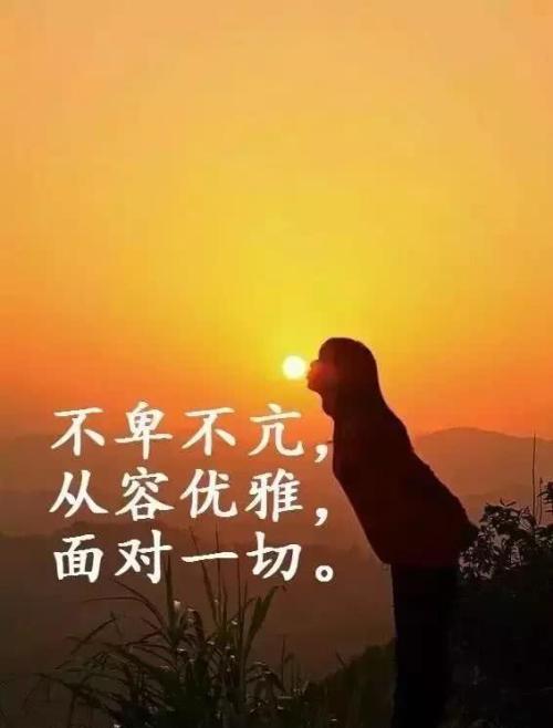 团队灵魂鸡汤经典语录
