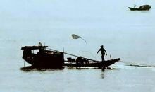 船头上撒网歇后语