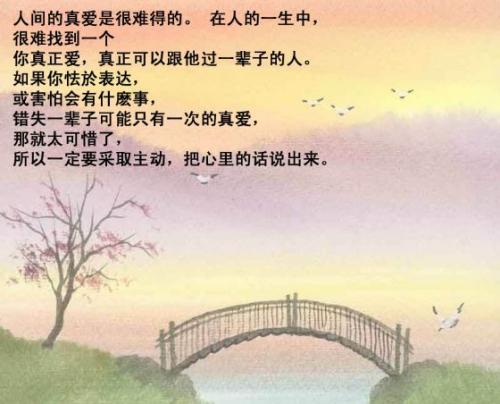 爱情谚语
