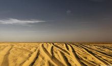 描写大漠的句子