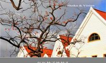 描写柿子的比喻句