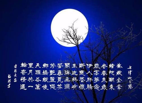 小姐家庭句子