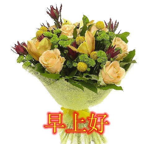 六月的祝福