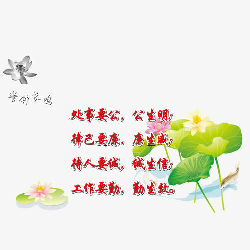 环境口号和口号