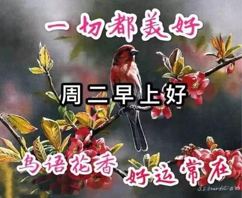星期二快乐祝福