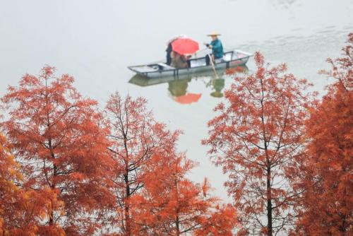 风浪寓言寓言