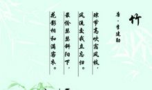 描写竹子品质的句子