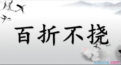 坚持不懈