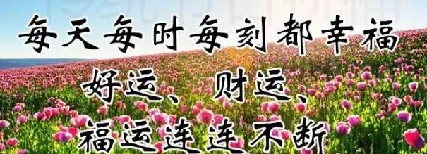 姊姊的祝福