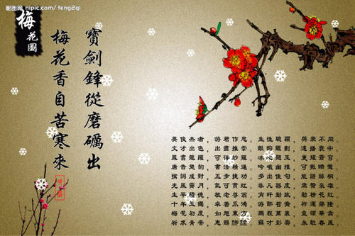 像梅花一样的句子