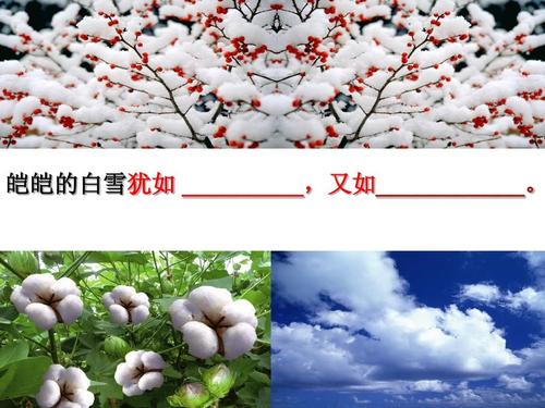 白雪的寓言