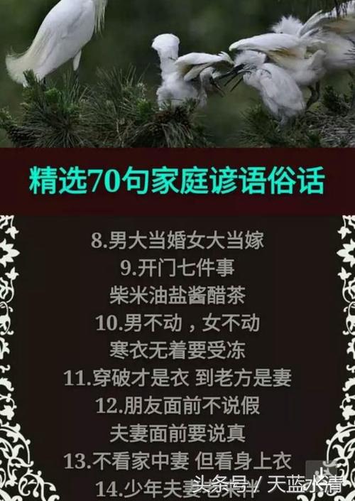 夫妻间的谚语