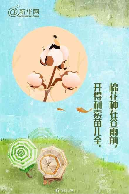 关于下雨前的谚语