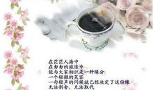 珍惜缘分的诗句