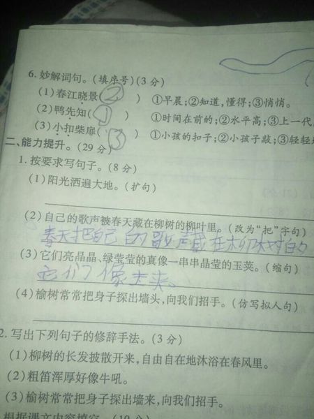 拟人辣椒