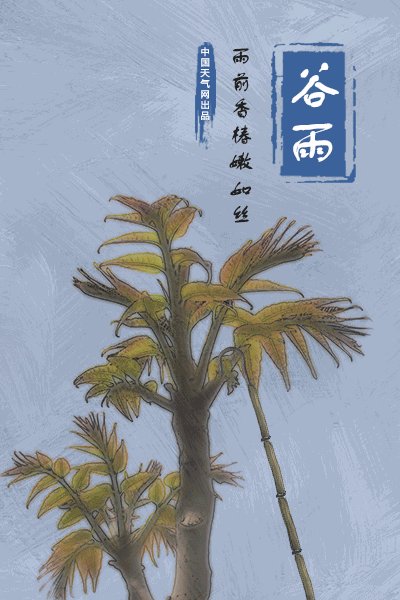 在雨前签名的箴言