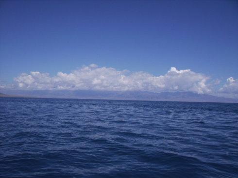 海上行情