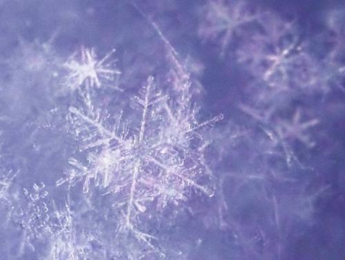 关于雪的寓言