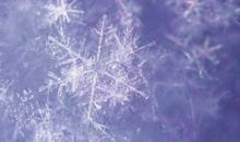 关于雪的歇后语