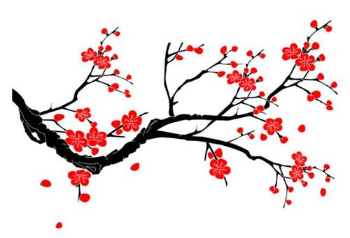 梅花的描述性句子