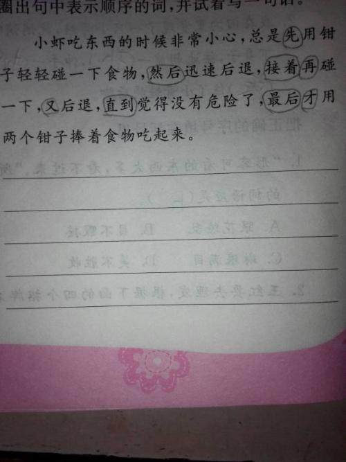 Bibo句子
