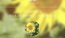 好好善待自己的句子