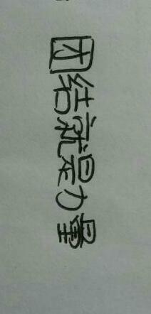 谚语团结合作