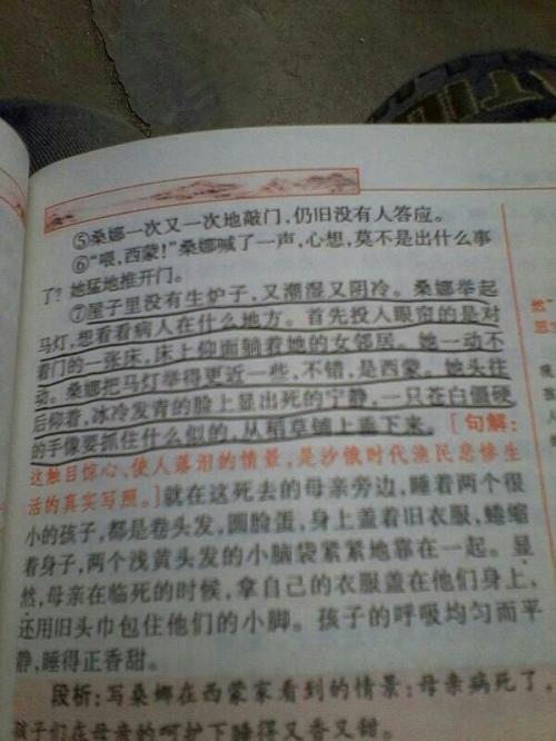 描述文化广场的句子