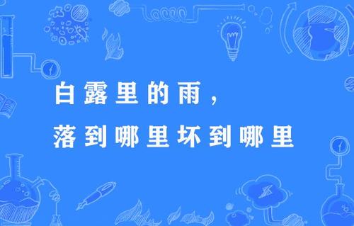 三年级白露谚语