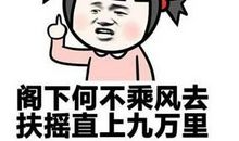 骂男人的经典句子