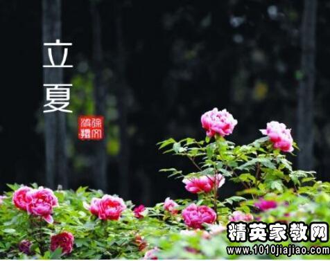 夏的谚语