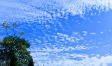 描写小路比喻句