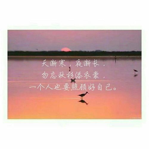 一个人的好句子