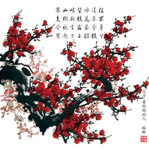 描述梅花的句子