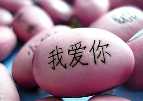 我爱你和情人说话