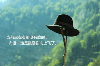 在生活的道路上，如果您没有耐心等待成功，那么您必须花费一生来面对失败1